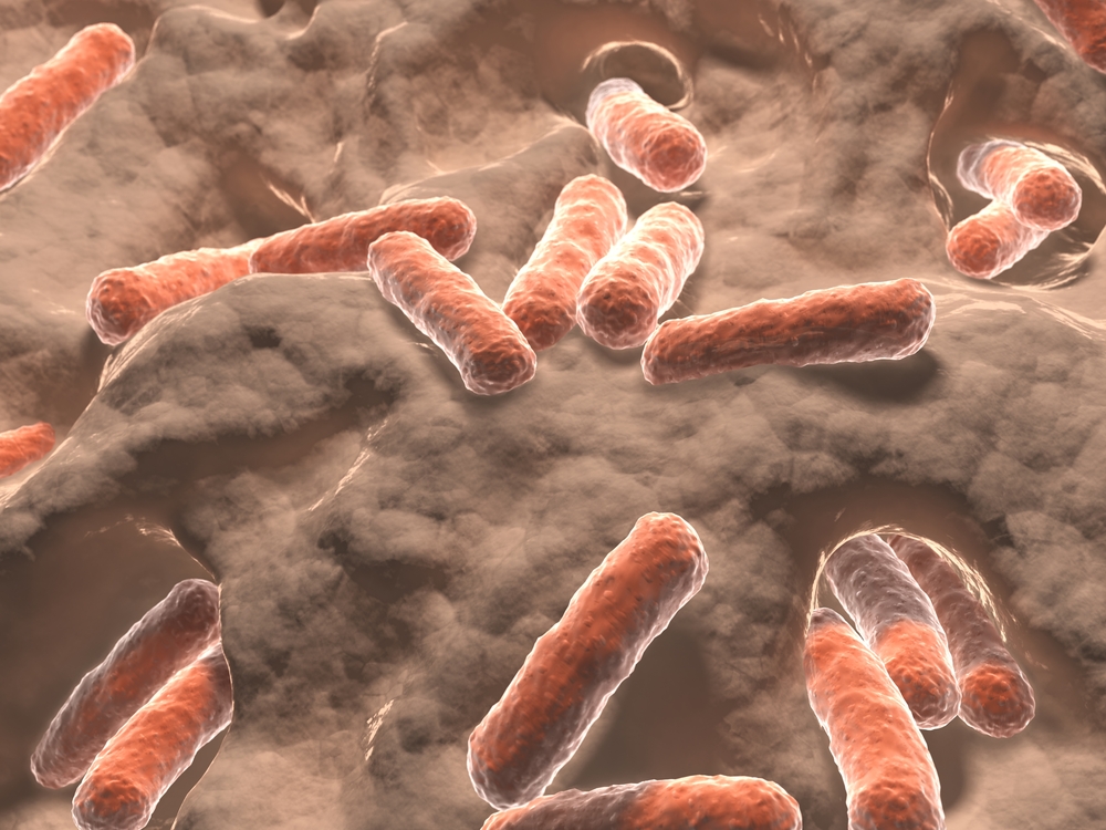 Can Inflammation Causing Intestinal Bacteria Be Inherited?
