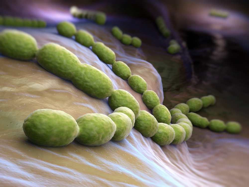 Bacterial Biofilms Linked To Colon Cancer, According To Researchers
