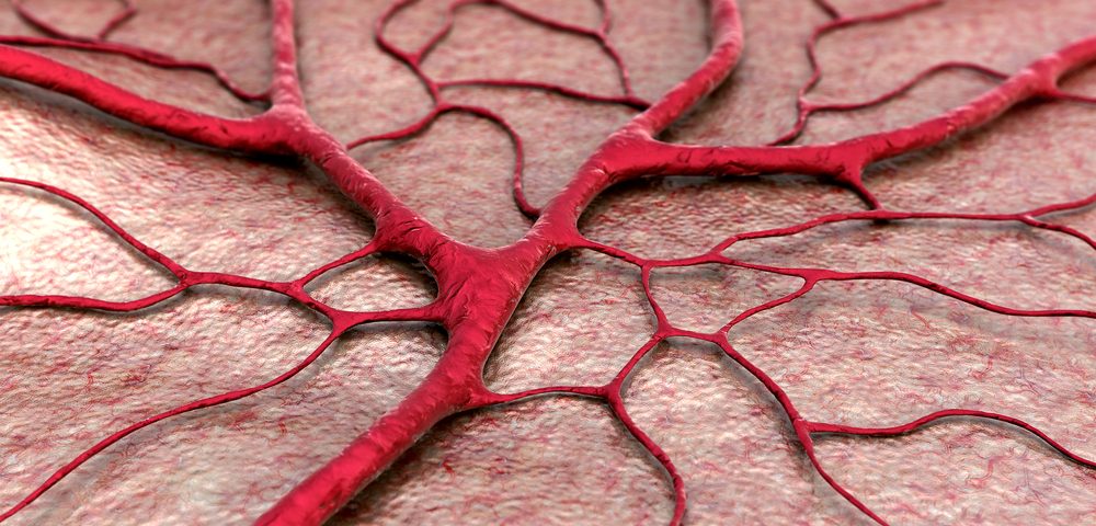 Colon Cancer Metastasis Co-opts Existing Blood Vessels to Grow, Resists Specific Therapies